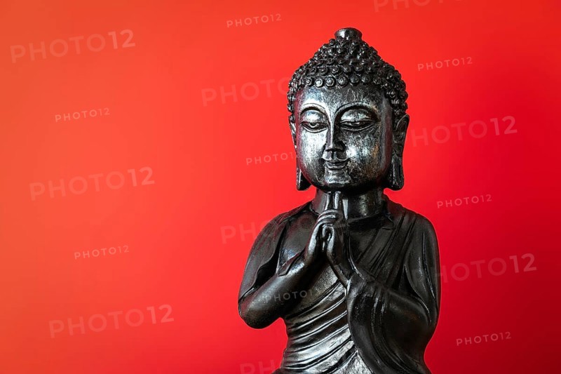 An image of a buddha statue sign for peace and wisdom