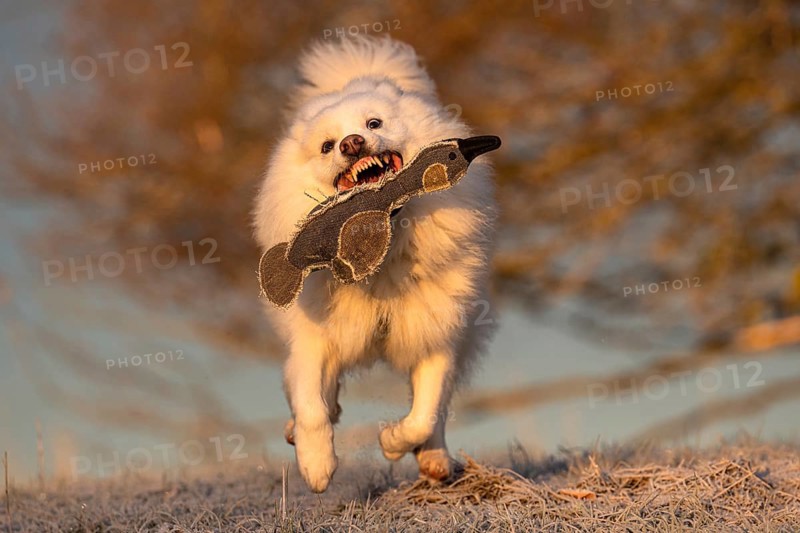 A walk on a cold winter morning