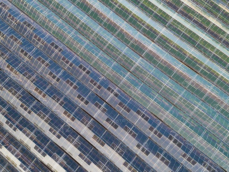 Hothouse in Chailly-en-Biere, Seine-et-Marne, Ile-de-France, France
