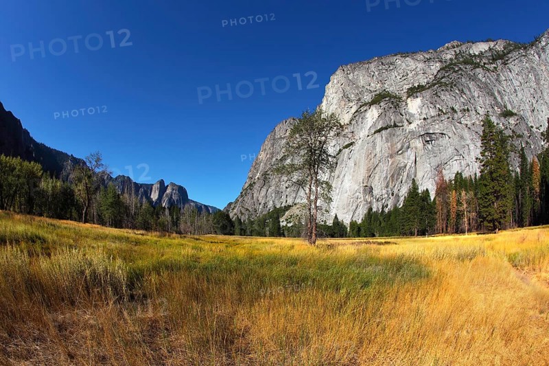 Magnificent glade with a yellow grass in valley Yosemite park. October, early morning
