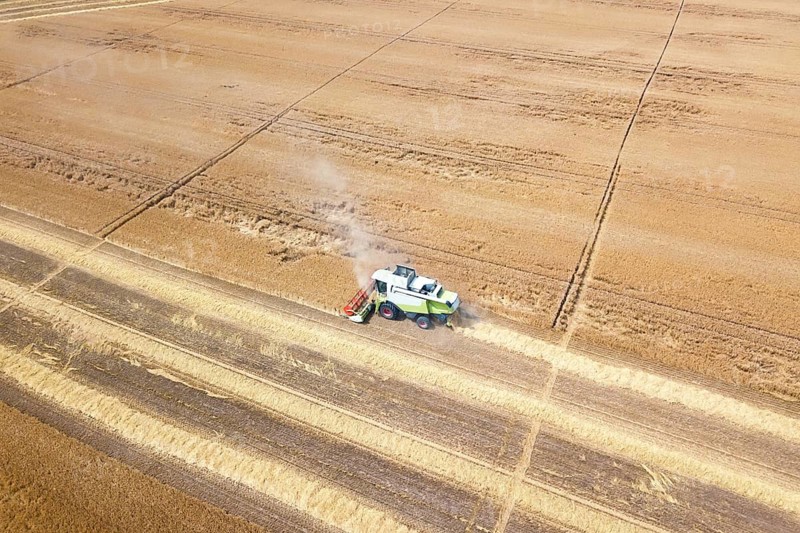 Combine harvester working on a wheat field. Combine harvester Aerial view