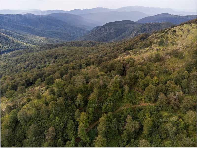 Aralar natural park, Guipuzcoa-Navarra, Spain