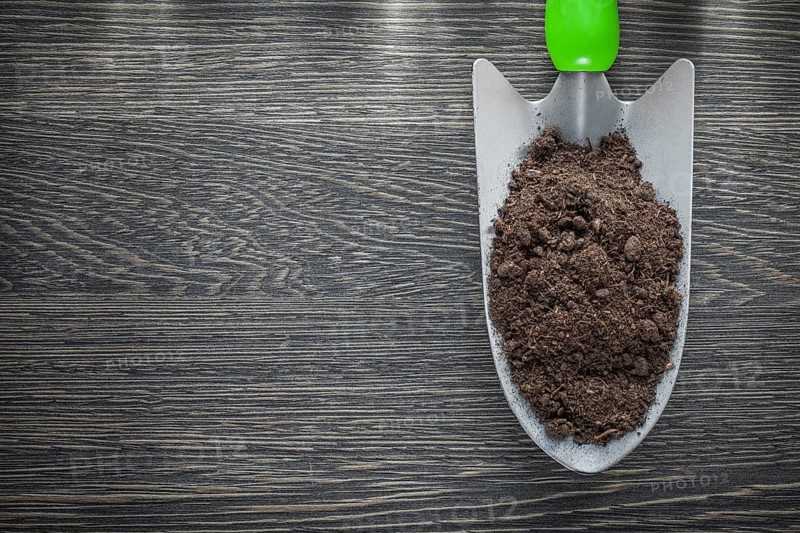 Stainless hand spade soil on wooden board