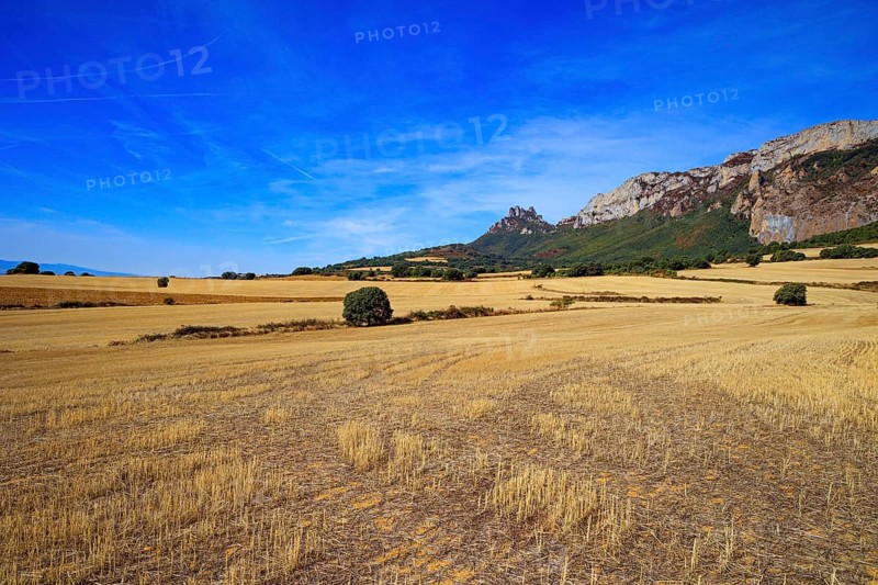 Basque country, province of Guipuzcoa, Spain. Lush colors of autumn. Gorgeous scenic road from San Sebastian to Tolosa. Rural fields after harvest