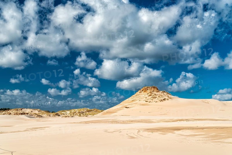 Dune landscape on the Baltic coast in Leba, Poland