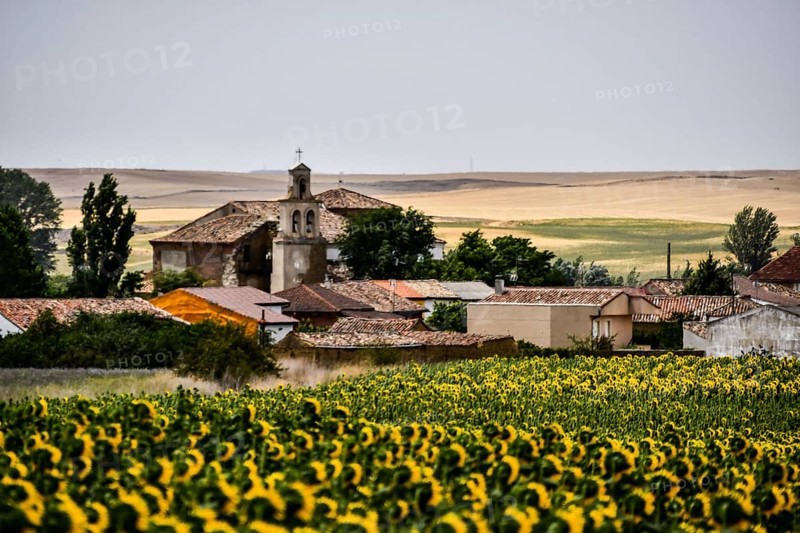Spanish landscape view of european countryside rural area in castilla y leon burgos spain