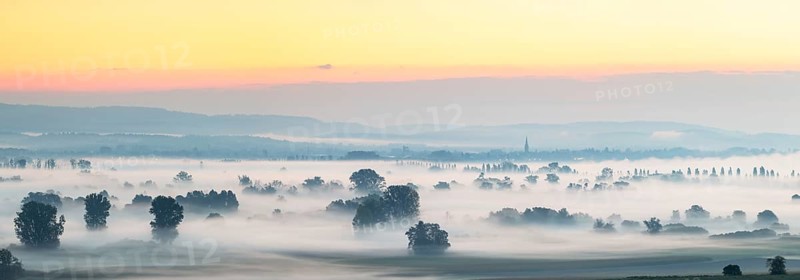 A foggy panorama at sunrise with trees and quiet landscape, Galgenberg, Aachried, Radolfzell, Lake Constance, Baden-Württemberg, Germany