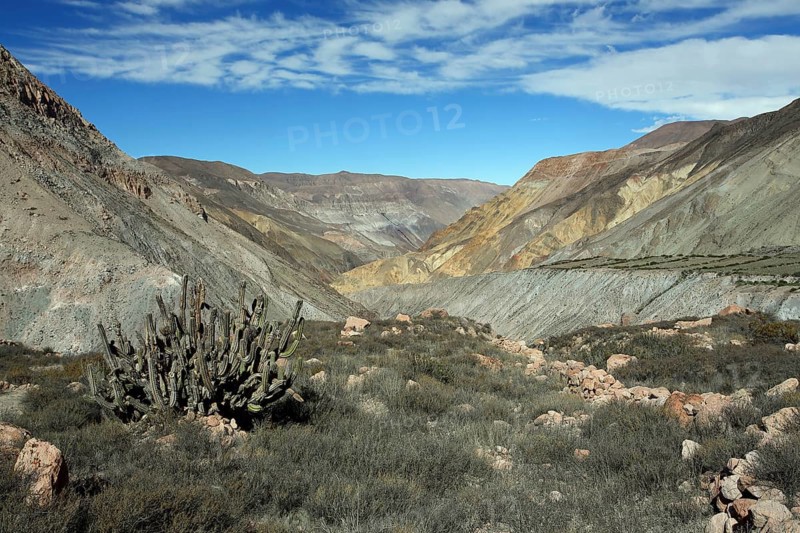 Landscape near Putre, Andes, Chile