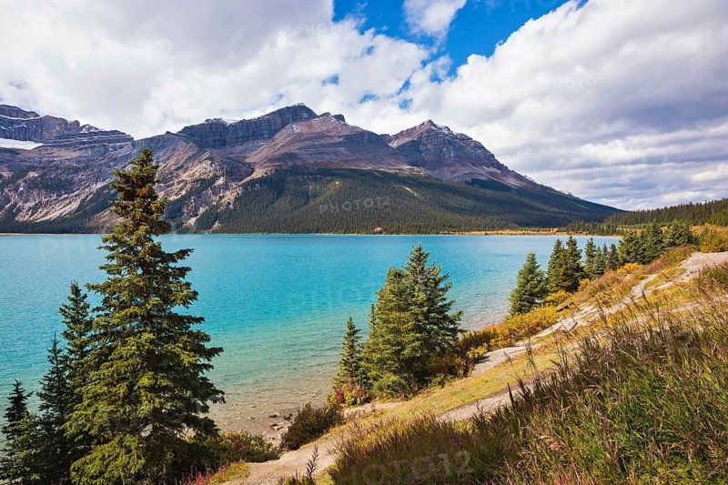 Gorgeous sunny day at Bow Lake, Canadian Rockies. The lake is surrounded by rocks and pine trees