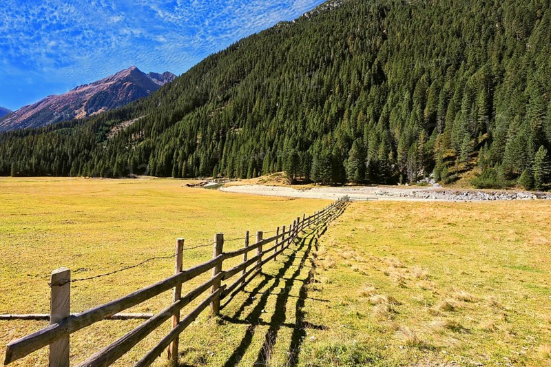 Scenic farm fields blocked bythe wooden fence. Steep mountain slopes overgrown with coniferous forests. Alpine Valley in Austria. National Park Krimml waterfalls