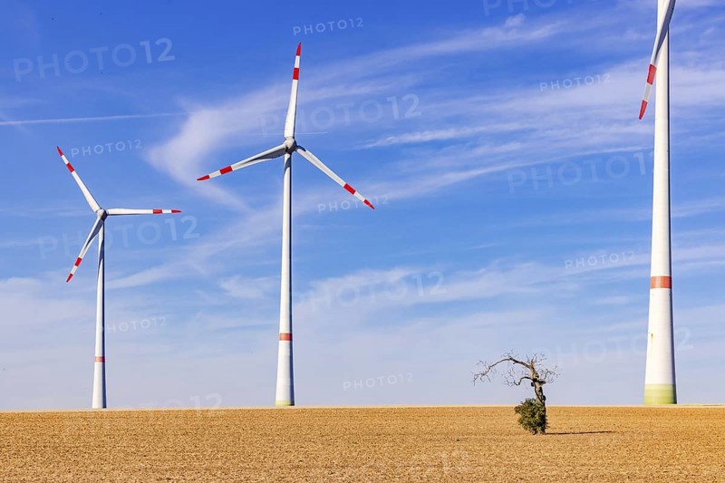 Several innovative wind turbines of different sizes on a barren field behind an old tree in the foreground