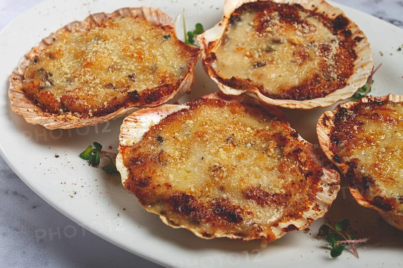Scallop shells, stuffed, baked with cheese, in the oven, julienne with scallops