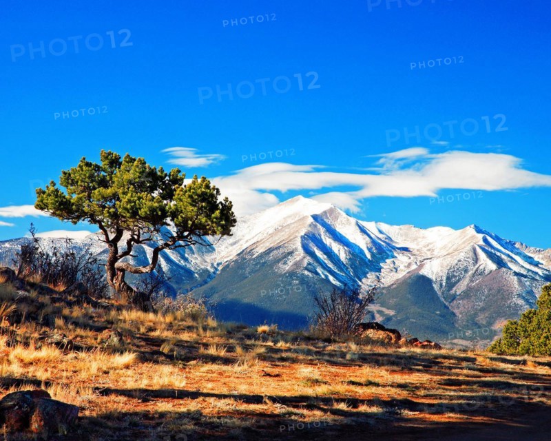 Mountain landscape near Buena Vista, Colorado, Buena Vista, Unitet States