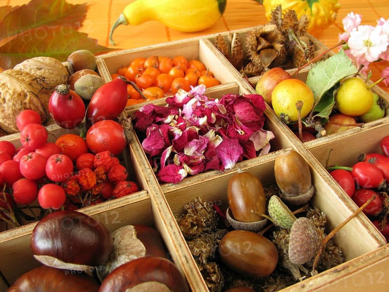 Box with autumn fruits and rose petals
