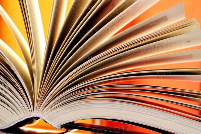 Composition with hardcover books in the library