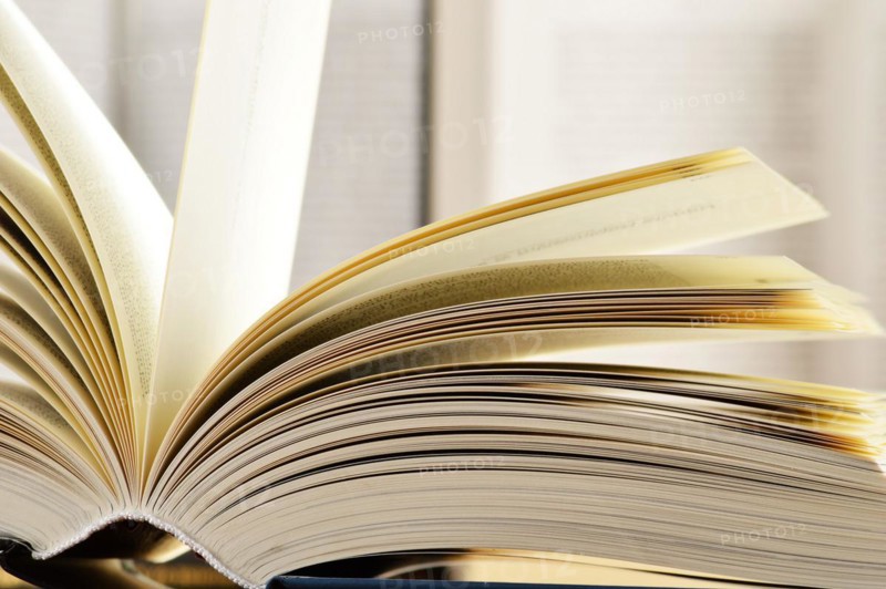Composition with hardcover books in the library