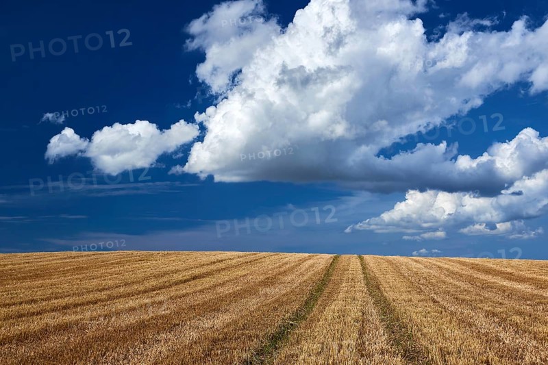 Stubbelfield after harvest on sunny day