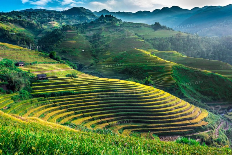 Landscape view of rice fields in Mu Cang Chai District, Yen Bai Province, North Vietnam