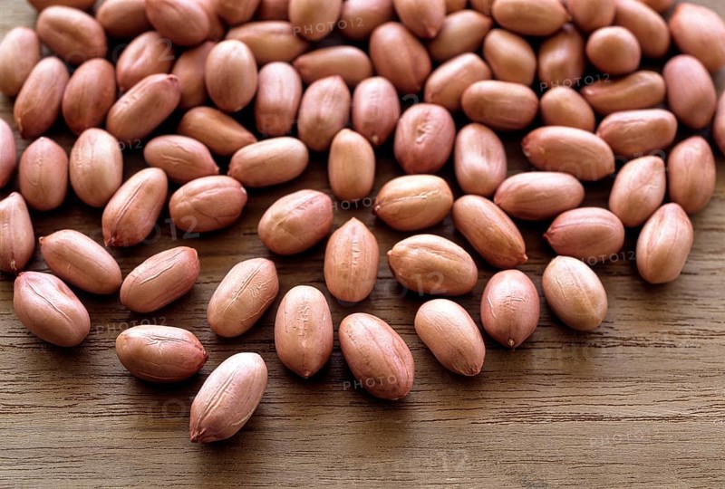 Pea nuts (Arachis hypogaea Linn) ground nuts, South India, India, Asia