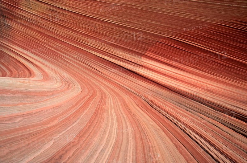 Sandstone formations, Paria Sandhills, Vermillion Cliffs, Utah, USA
