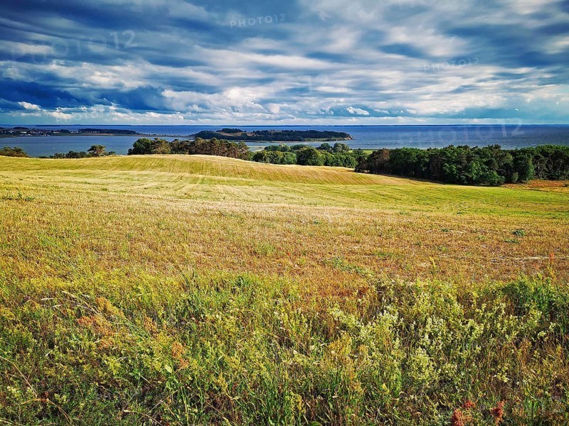 Mönchgut Bodden landscape near Groß Zicker, island of Rügen