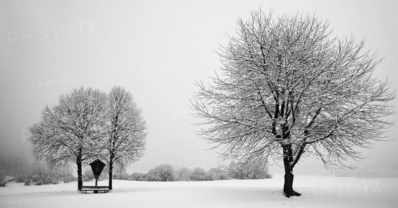 Winter idyll