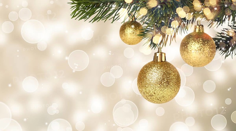 Christmas balls hanging on snowy fir tree. New years card