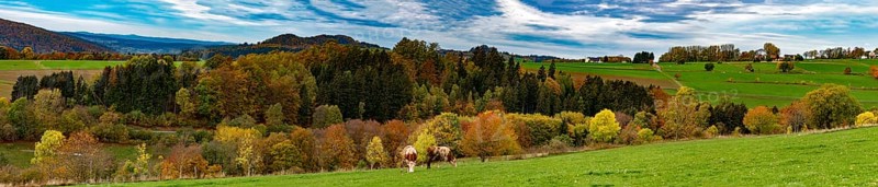 Autumn forest in the Rhön, panoramic photo, Gersfeld (Rhön), Hesse, Germany