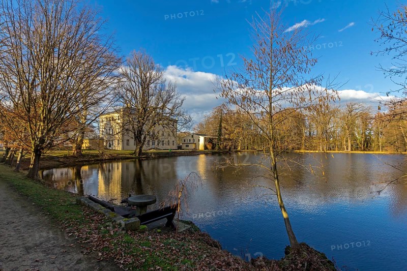 Pond