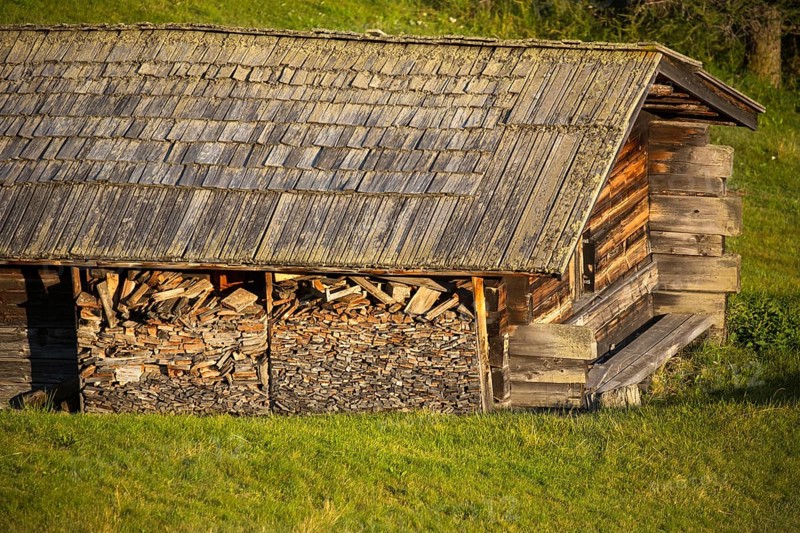 Alpine hut on alpine pasture, Alpe di Siusi, Italy