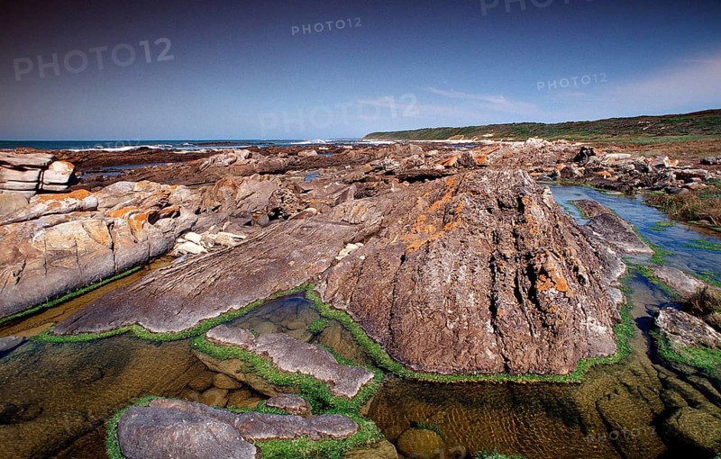 Rocky coast, South Africa, Port Elizabeth, Ibhayi