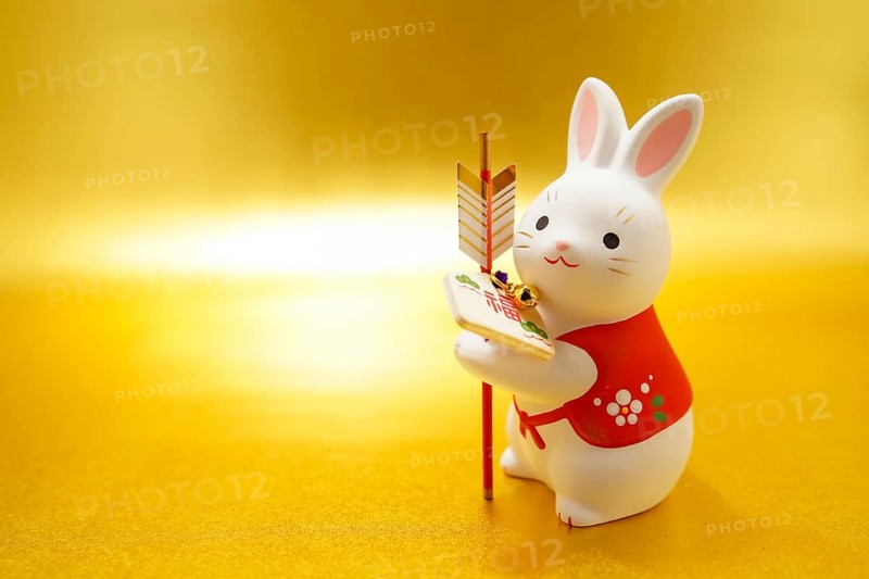 Rabbit year New Year material (2023 New Year). Shooting Location: Yokohama-city kanagawa prefecture