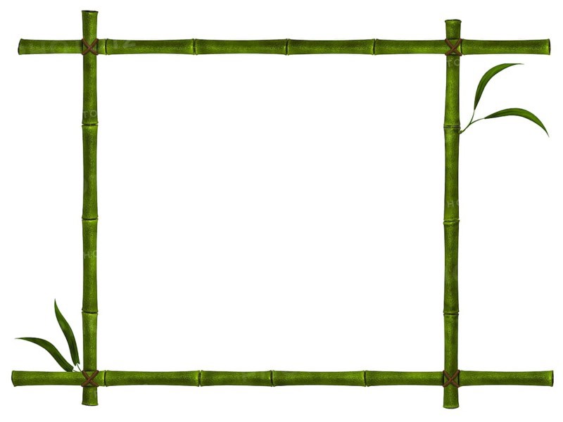 Illustration of bamboo frame with leaves