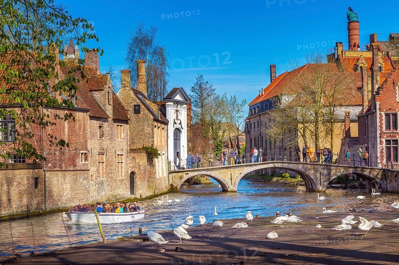 Bruges, Belgium, April 10, 2016: Canal and bridge view with tourists in popular belgian destination, white swans