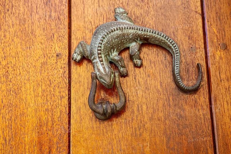 Artful metal door knocker in the shape of a lizard on a wooden door, Old Town, Cartagena, Colombia