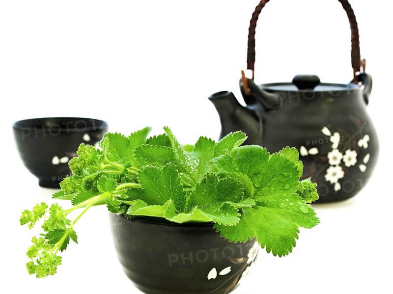 Tea Set with Greens over the White Background Daugavpils, Latvia