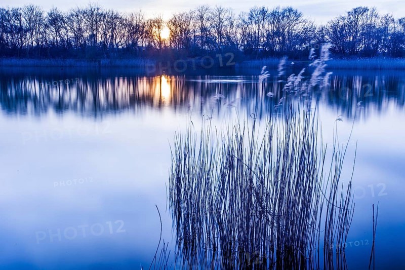 Mill pond in Rostock