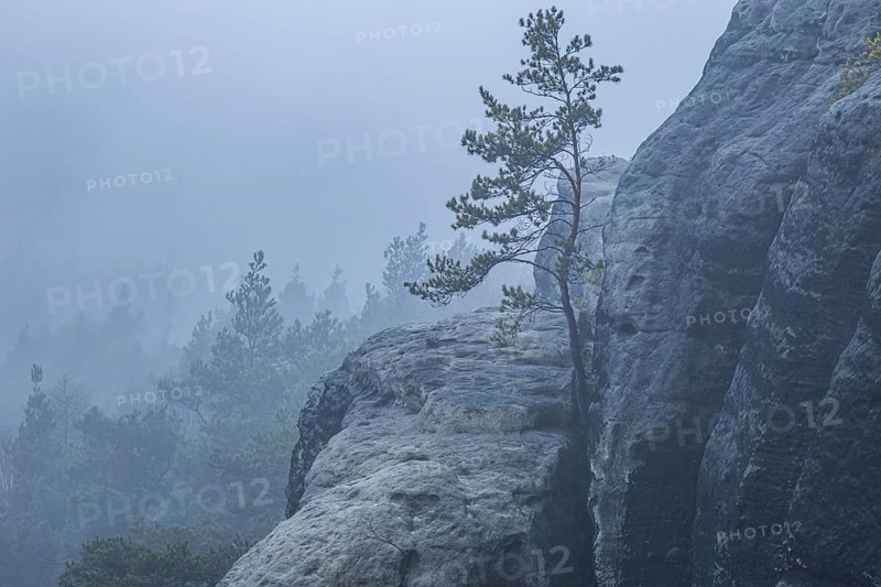 Foggy atmosphere on the Gamrig near Rathen in Saxon Switzerland, Rathen, Saxony, Germany