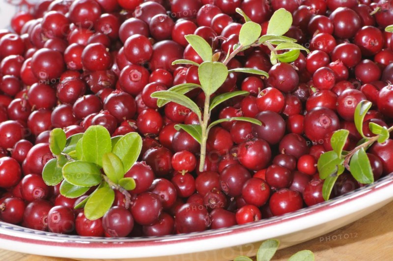 Fresh cranberries on a plate