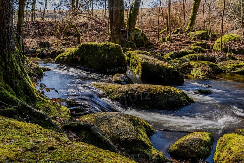 A babbling brook surrounded by mossy stones and trees in nature, Höllbachtal, Upper Palatinate