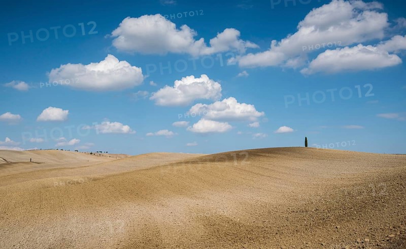 Beautiful idyllic farmland with meadow field at Tuscany area near Pienza touristic village, Italy
