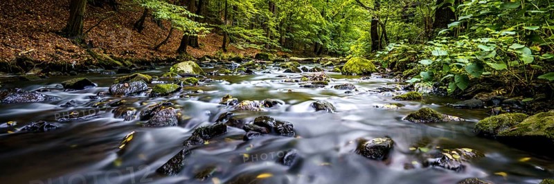 Autumn magic in the Georgewitzer Skala/ Löbauer Wasser 5