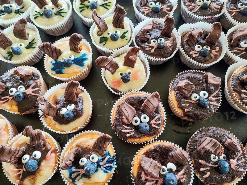 Lovingly decorated cupcakes with funny faces