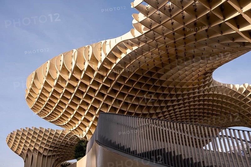 Seville mushrooms in the center of the Andalusian capital in Spain