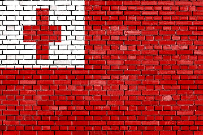 Flag of Tonga painted on brick wall