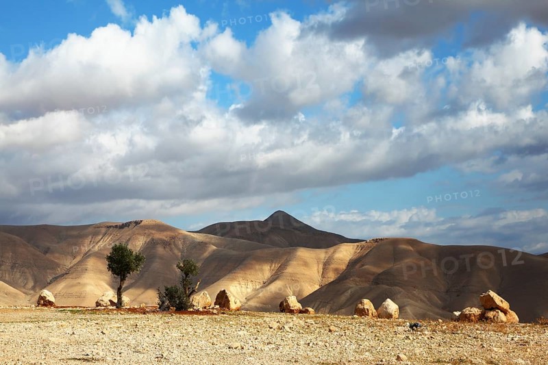 Magnificent transparent day in Judean desert. Easy shades from clouds on soft hills