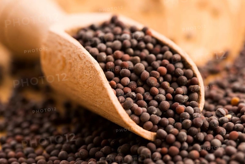 Brown mustard seeds