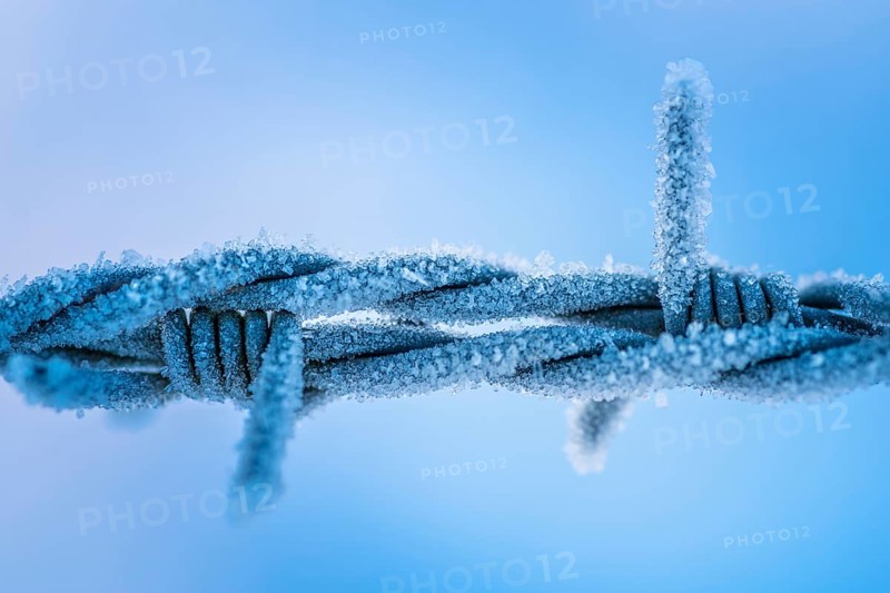 Frosted wire mesh fence in wintertime in blue colours. Frosted iron fence in wintertime in blue colours