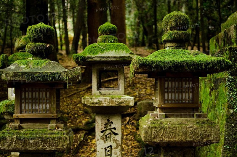 Typical japanese stone lanterns in Nara, Japan, Nara, Japan