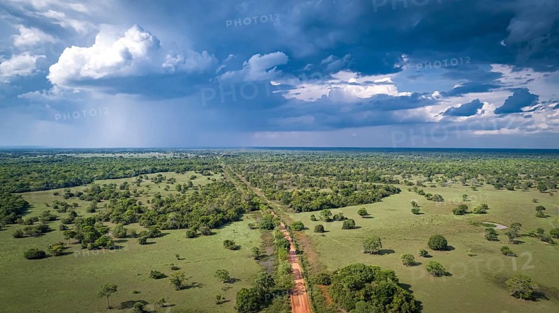 Aerial view of Transpantaneira dirt road with dramatic sky and rain crossing the typical landscape in North Pantanal Wetlands, Mato Grosso, Brazil
